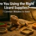 Lizard Supplies